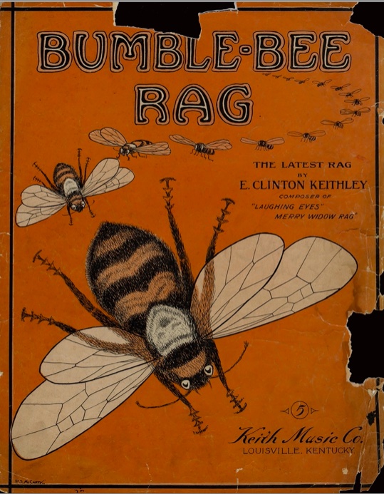 Bumble-Bee Rag Sheet
                              Music Cover - Keithley 1909