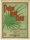 Palm Leaf Rag: A Slow Drag Sheet Music
                            Cover