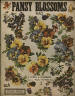 Pansy Blossoms Rag Sheet Music Cover