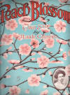 Peach Blossom Rag Two Step Sheet
                              Music Cover