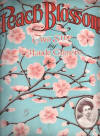 Peach Blossom Rag Two Step Sheet
                              Music Cover