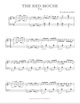 Red Mouse Rag Cover
