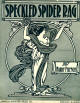 Speckled Spider Rag Sheet Music
Cover