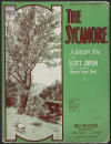 The Sycamore: A Concert Rag Sheet Music
                            Cover