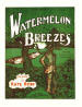 Watermelon Breezes: An African
                              American Characteristic: March and Two
                              Step Sheet Music Cover